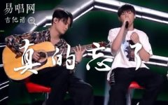 斑馬森林《真的忘了》吉他譜_C調_彈唱六線譜