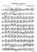 讓 德爾菲 阿拉爾-12首小提琴隨想練習曲之20