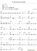你是我的玫瑰花1