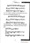 弦音回響 小提琴學習與演奏知識綜述41-60