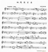 嘎哦麗泰-小提琴