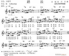 電子琴-踏浪