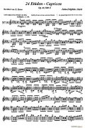 讓 德爾菲 阿拉爾-12首小提琴隨想練習曲之16