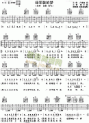 綠軍裝的夢(楊柳、高歌)