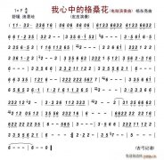 我心中的格?；ǎ娔X演奏曲）