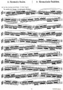 小提琴音階練習小提琴譜 作品32（Scale Studie-D）