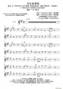 為生命喜悅小提琴譜(YOYO作曲原創長笛曲)