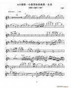b小調第一小提琴協奏曲 第一樂章