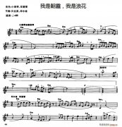 我是朝霞 我是浪花電子琴譜
