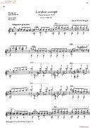 巴利奧斯 巴拉圭舞曲No 3 Barrios Danza paraguaya No 3