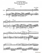 《Cantos sierras》吉他譜_ 山脈之歌長笛_吉他