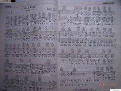 風華版 每一天 每一夜